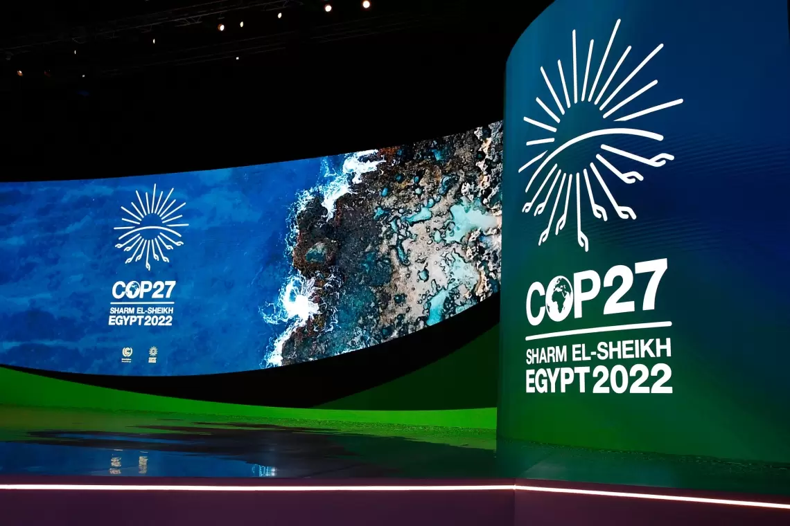 cop27_foreste_cotugno