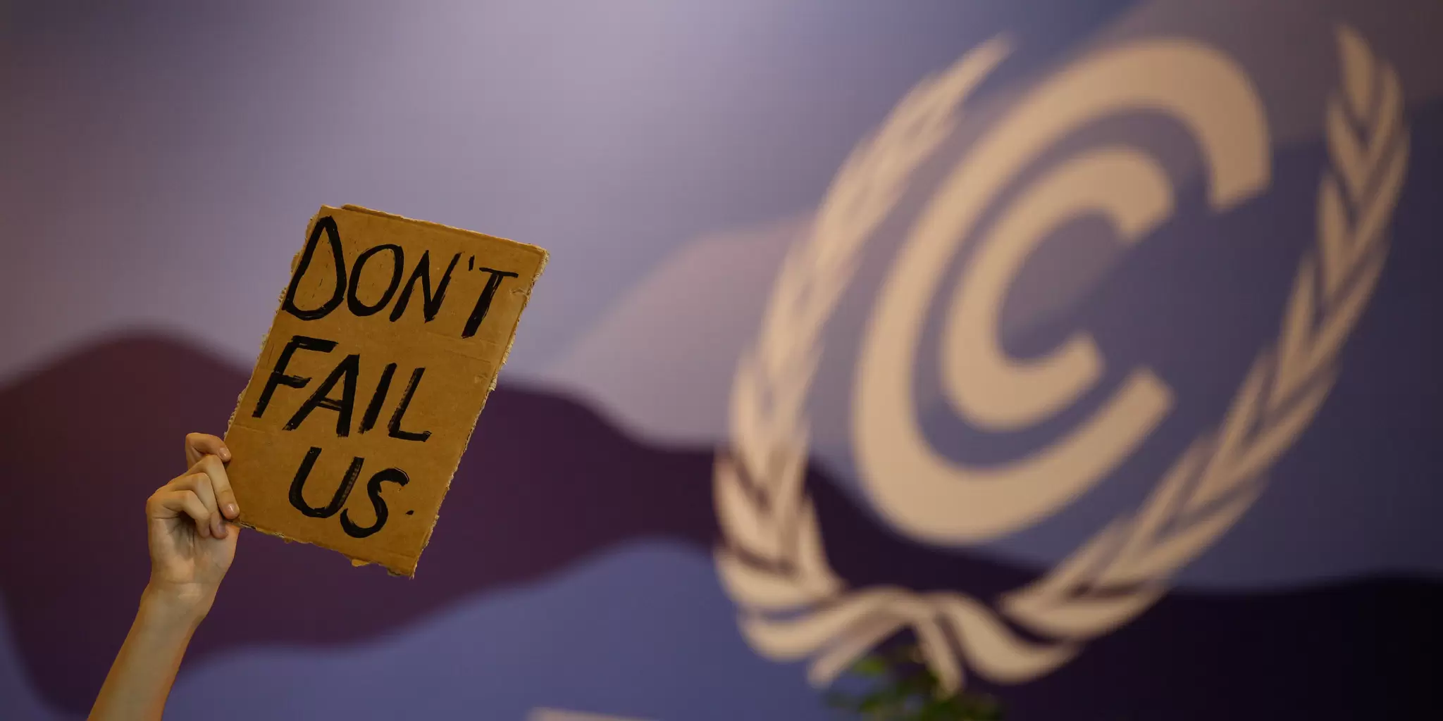 COP27 03