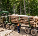 Cluster Foresta-legno italiano: primi passi verso una sfida da vincere