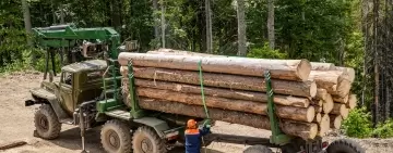 Cluster Foresta-legno italiano: primi passi verso una sfida da vincere
