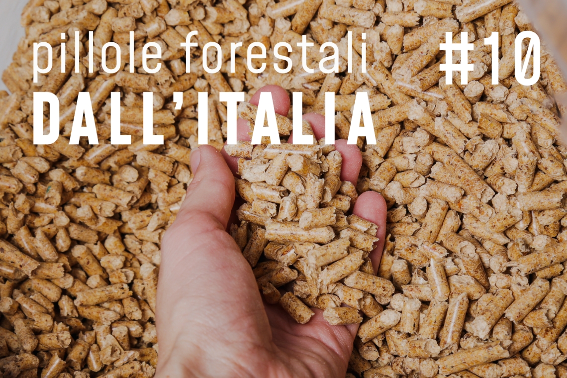 Pillole forestali dall’Italia #10 - Scende l'IVA sul pellet e altre notizie di dicembre