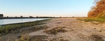 Le foreste nel clima che cambia