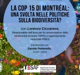 COP 15 di Montreal: una svolta nelle politiche sulla biodiversità?