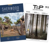 Sherwood 262: Gli effetti della crisi climatica sulle foreste italiane e un focus sul tema dei boschi vetusti