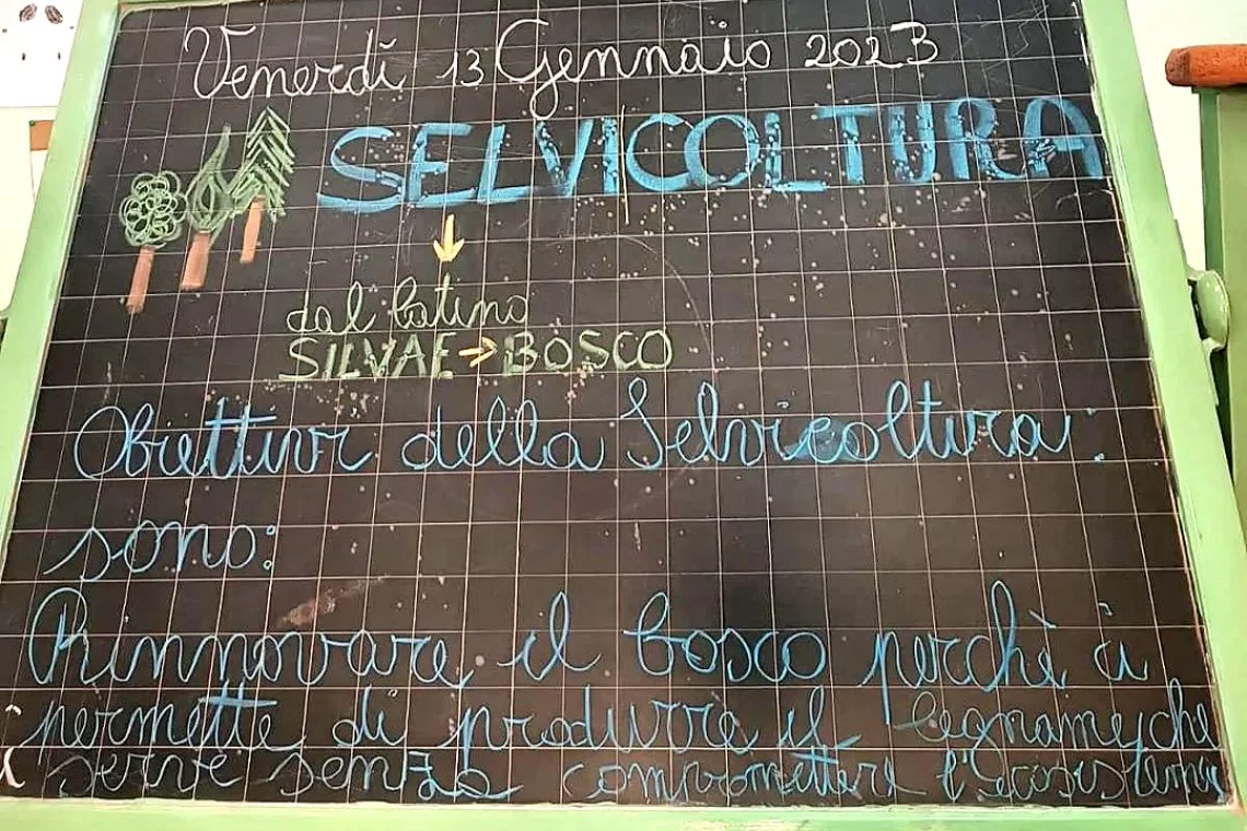 Online le schede didattiche di “Il mio bosco è di tutti”