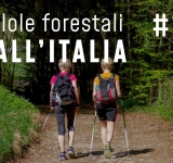 PilloIe forestali dall’Italia #12 - Foreste che curano e altre notizie di febbraio