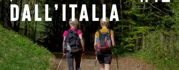 PilloIe forestali dall’Italia #12 - Foreste che curano e altre notizie di febbraio