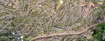 Vaia, un punto di partenza