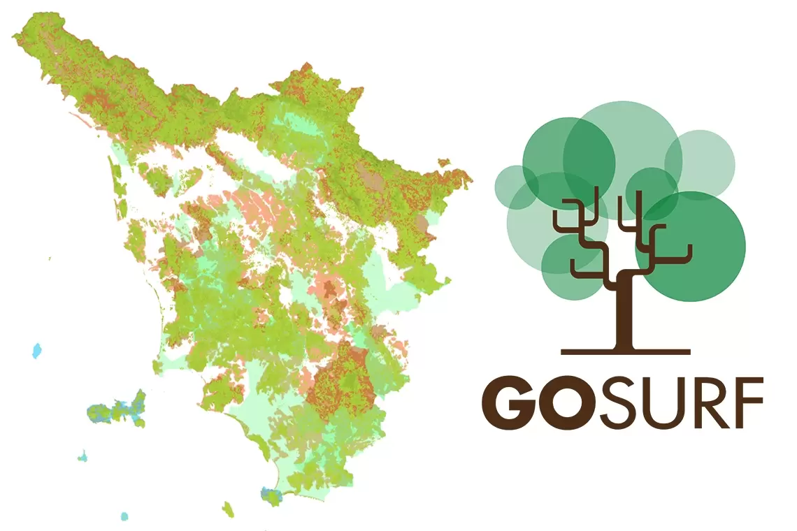 Gruppo Operativo SURF: un Sistema di Supporto Decisionale per le foreste toscane