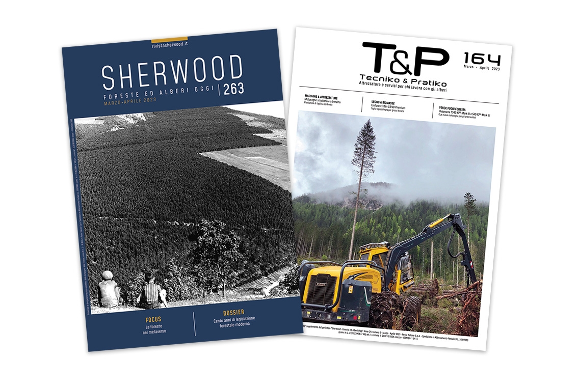 Sherwood 263: passato, presente e futuro del settore forestale 