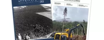 Sherwood 263: passato, presente e futuro del settore forestale 