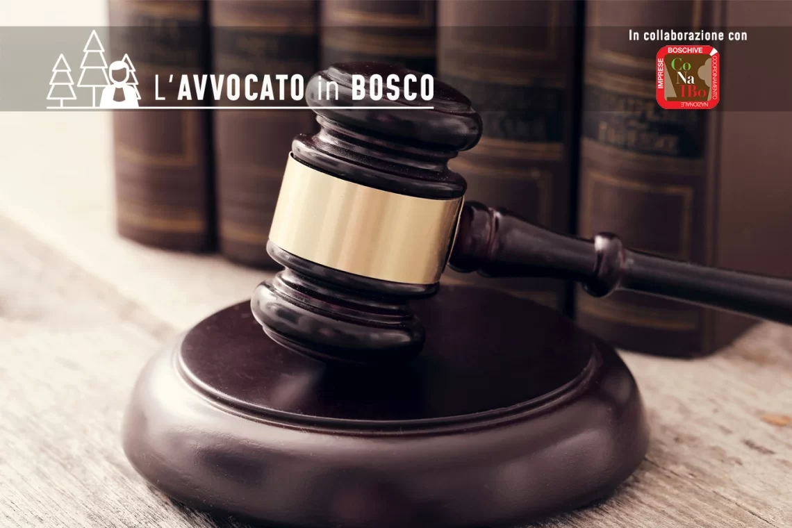 Modello Organizzativo 231 e filiera forestale