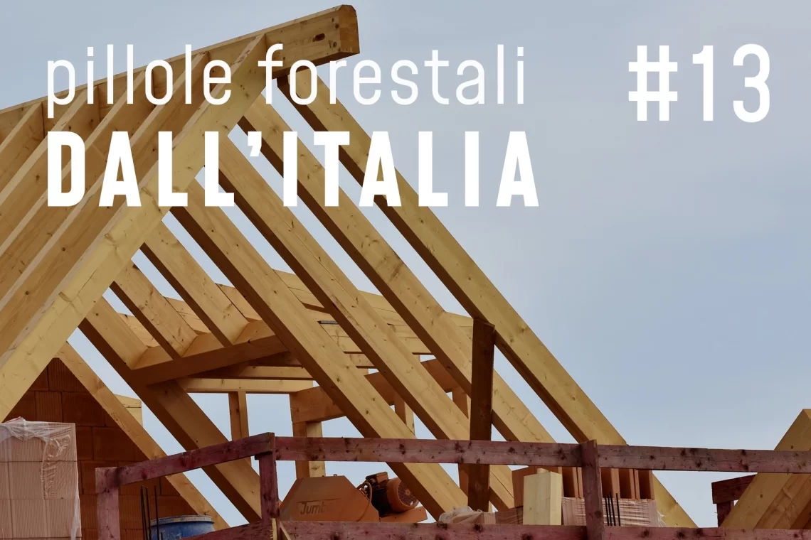 Pillole forestali dall’Italia #13 - Case in legno e altre notizie di febbraio