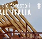 Pillole forestali dall’Italia #13 - Case in legno e altre notizie di febbraio