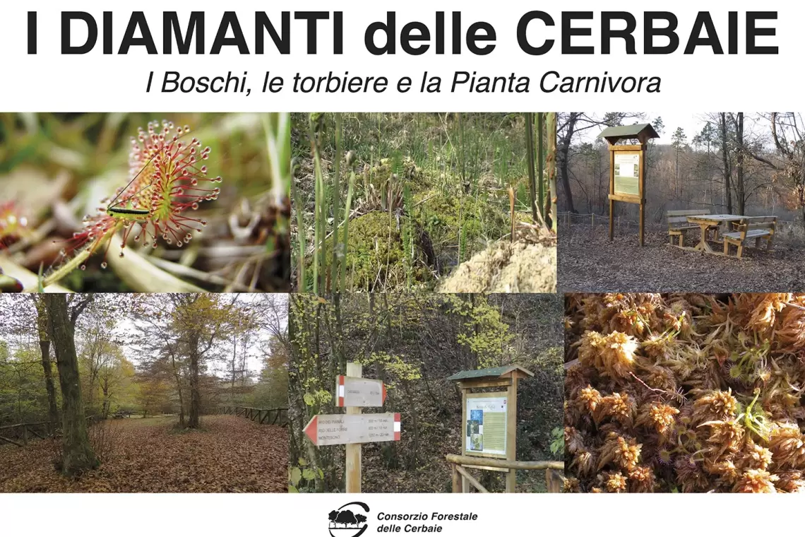 Crowdfunding: I diamanti delle Cerbaie