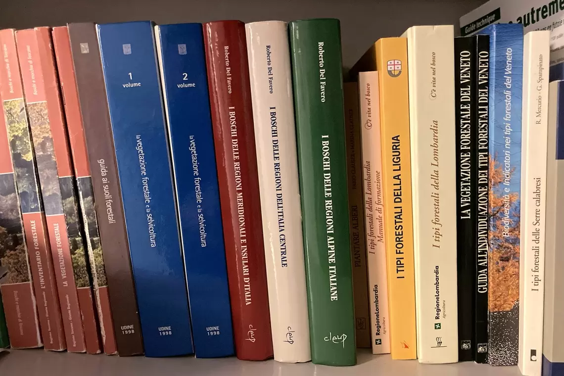 La tipologia forestale: quale supporto utilizzare per lavori di sintesi a livello nazionale?