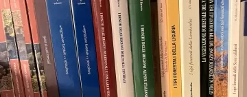 La tipologia forestale: quale supporto utilizzare per lavori di sintesi a livello nazionale?