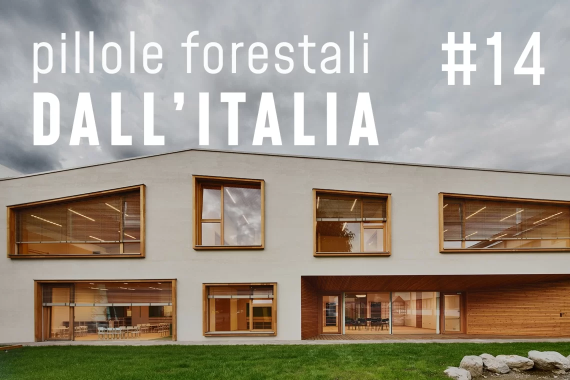 Pillole forestali dall’Italia #14 - Legno nel futuro e altre notizie di marzo 