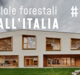 Pillole forestali dall’Italia #14 - Legno nel futuro e altre notizie di marzo 