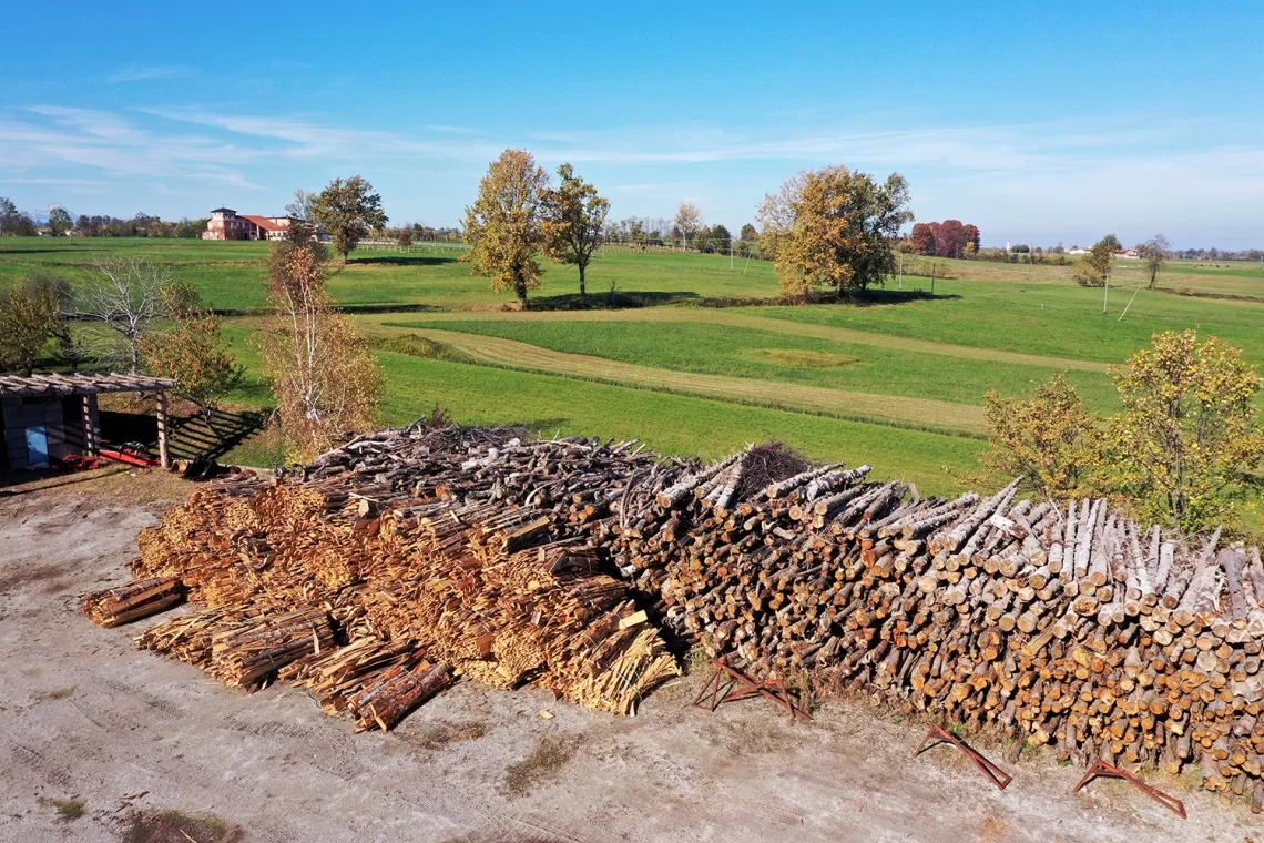 Dal Regolamento EUTR al Registro nazionale Imprese Legno (RIL)