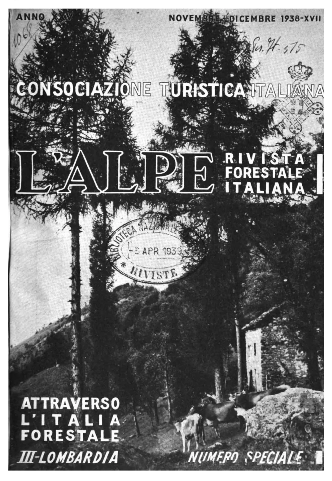 pianificazione nuovo decreto