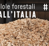 Pillole forestali dall’Italia #16 - un’occasione per riflettere sulle biomasse e altre notizie di aprile
