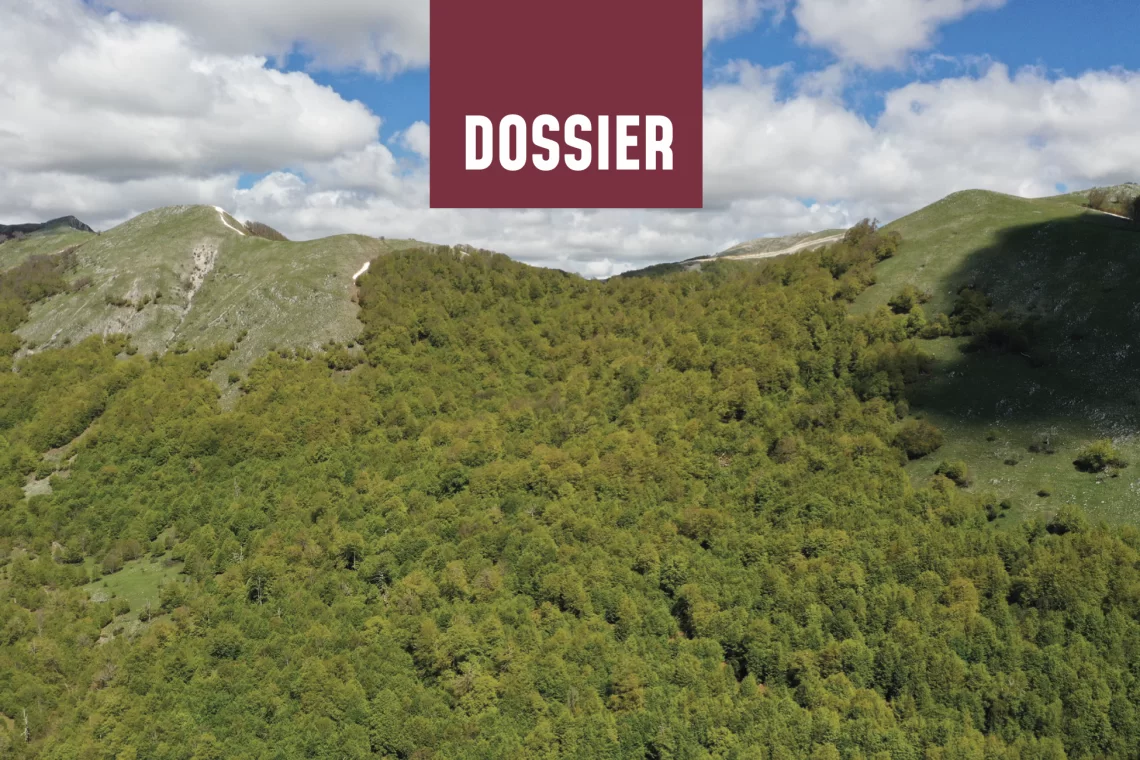 Sherwood 264 - Nuova stagione della pianificazione