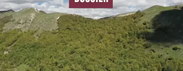 PFIT: una nuova stagione della pianificazione