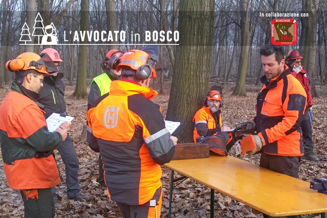 Delega di funzioni e impresa forestale