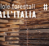 Pillole forestali dall’Italia #17 - Strategie per il futuro del legno e altre notizie di aprile