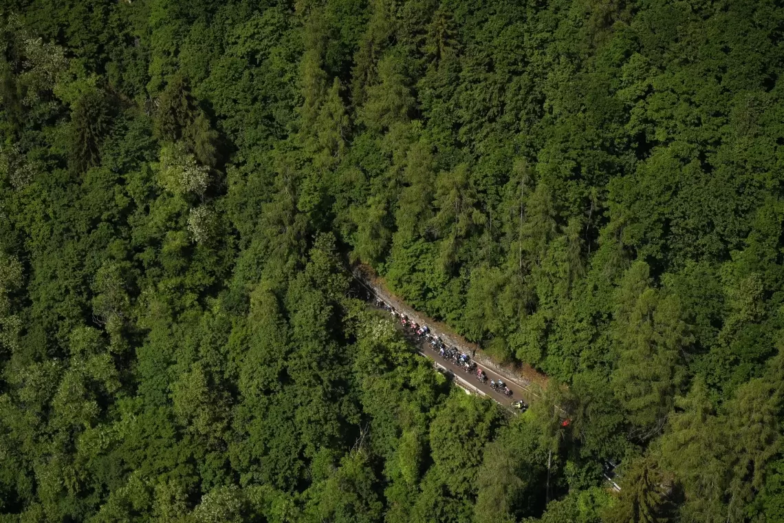 Il Giro (forestale) d’Italia!