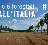 Pillole forestali dall’Italia #18 - Utopie agroforestali e altre notizie di maggio