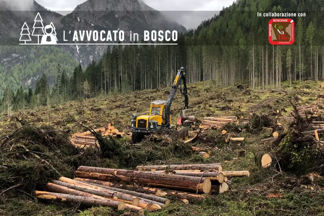 Cantiere “da schianti” e necessità normative