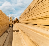 Il legno, materia del futuro