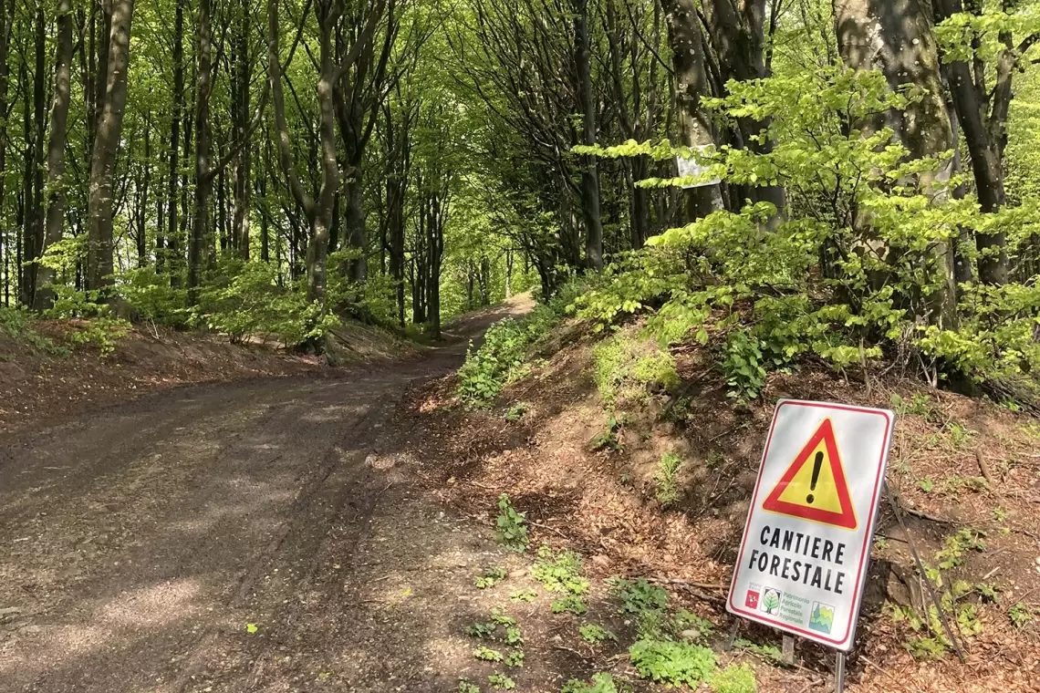 Il settore forestale toscano in ginocchio a causa del maltempo