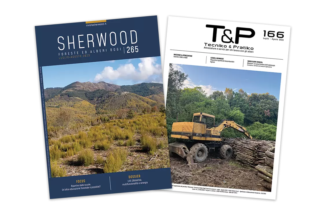 Sherwood 265: educazione forestale e gestione multifunzionale 