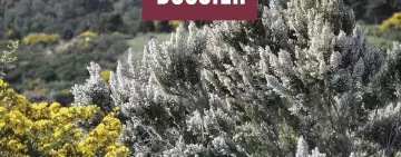 LIFE GRANATHA: multifunzionalità e sinergia