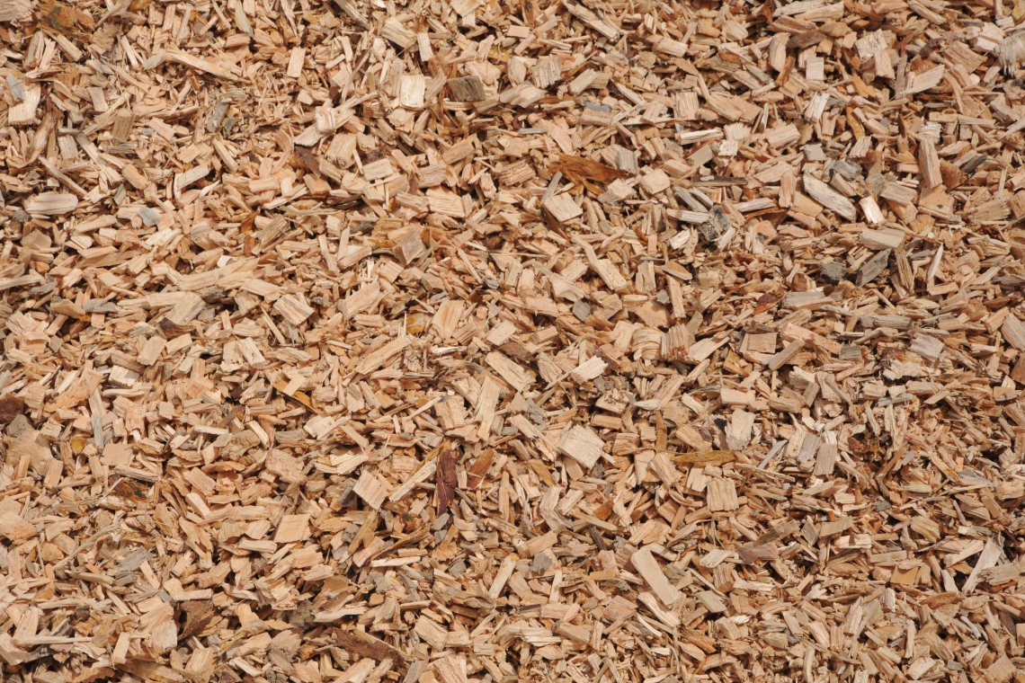Un "Position paper" ampiamente condiviso per valorizzare le biomasse forestali