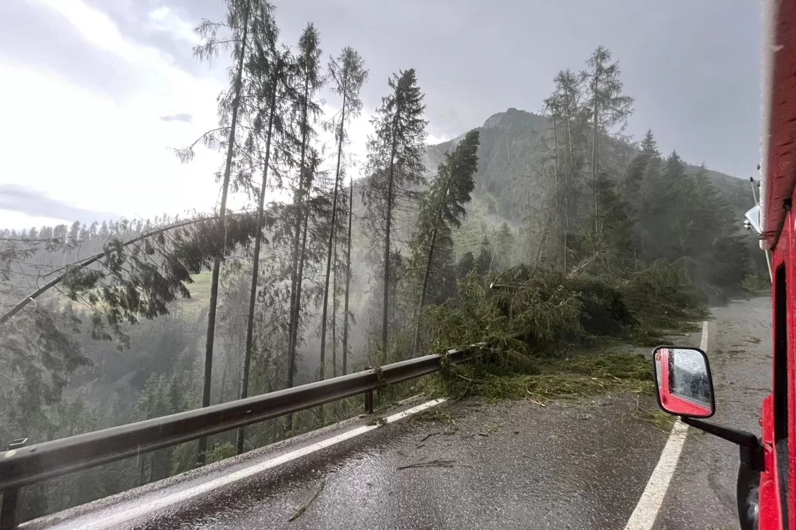 Nuovi schianti nei boschi delle Dolomiti a causa di un violento temporale
