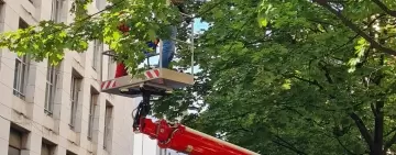 L’approccio ad una corretta gestione del verde urbano pubblico