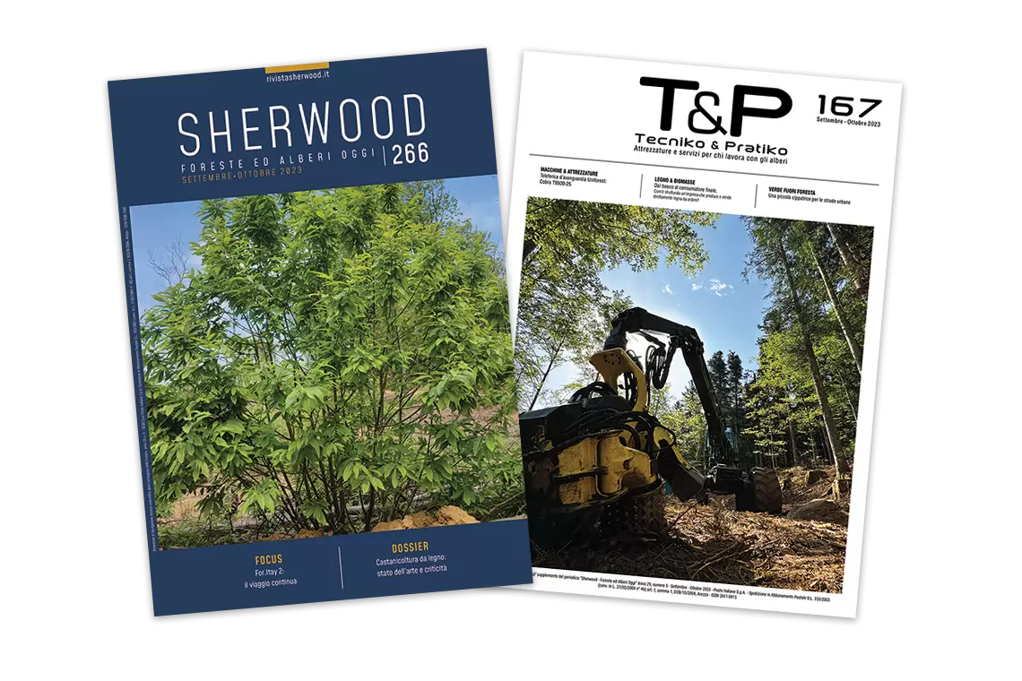 Sherwood 266: formazione e castanicoltura