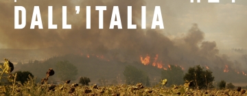 Pillole forestali dall’Italia #24 - Disturbi naturali e altre notizie di settembre