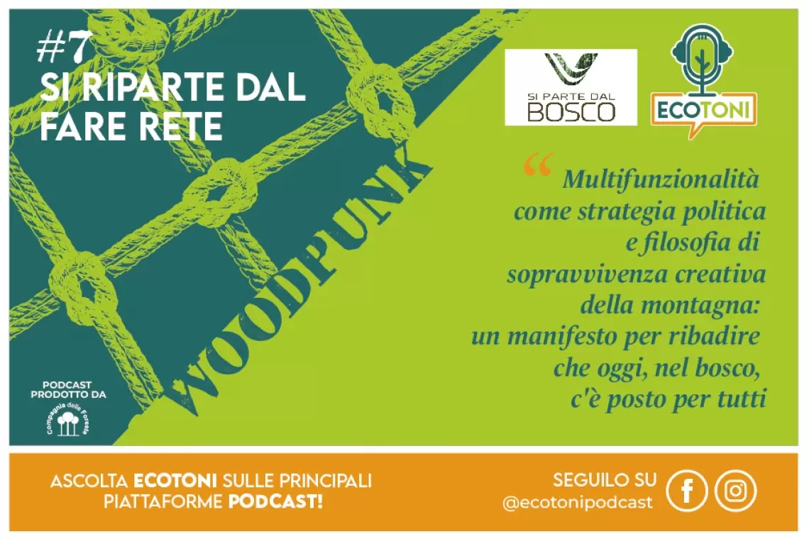 Ecotoni Woodpunk#7 - Si riparte dal fare rete