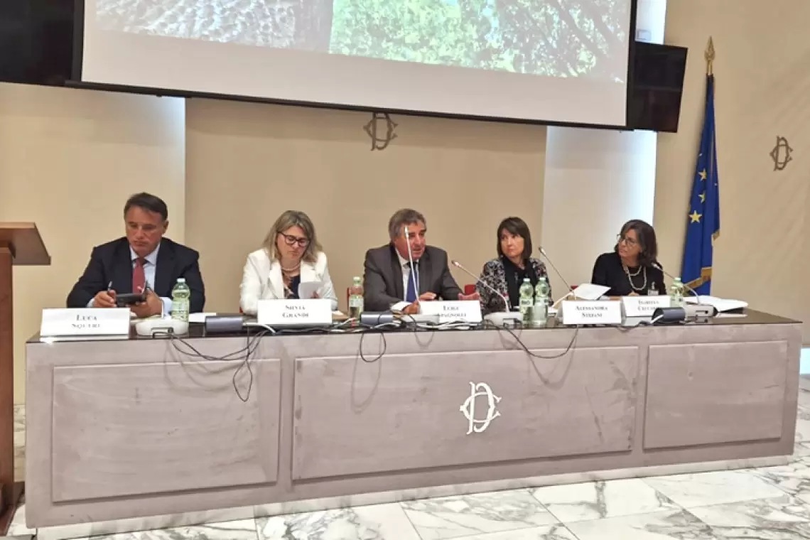 AIEL, la politica e la selvicoltura