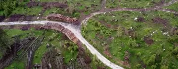 “Cinque anni da Vaia”: sabato 28 ottobre a Enego 