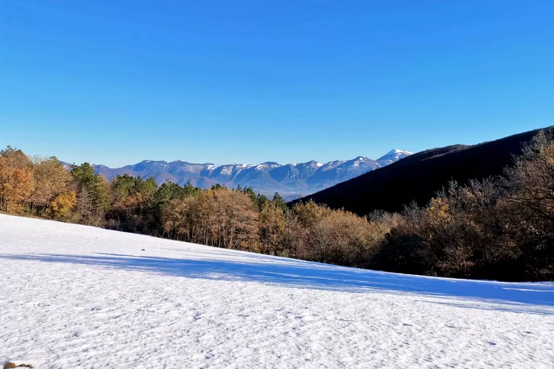 Il progetto “CO2 S.Fo.Ma. MARCHE”