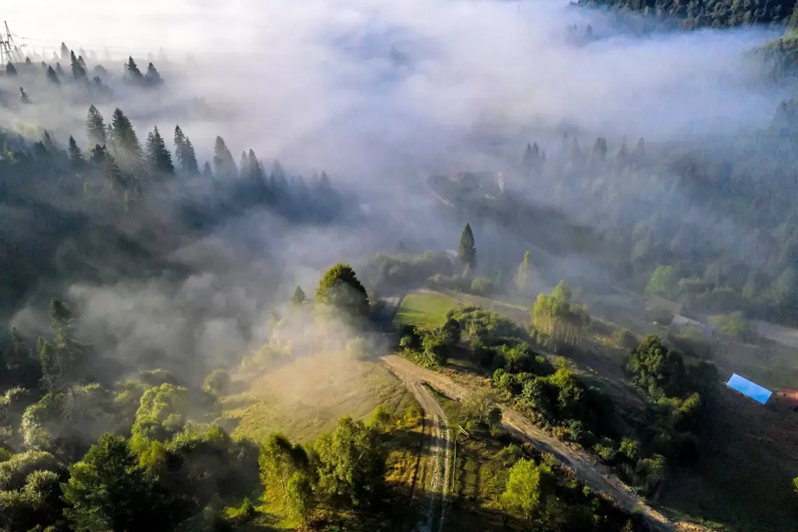 Le foreste nel Regolamento UE Carbon Removal Certification:  più problemi che soluzioni?