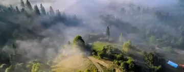 Le foreste nel Regolamento UE Carbon Removal Certification:  più problemi che soluzioni?