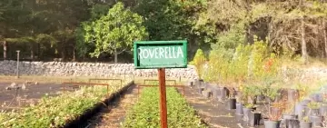 OptFORESTS, prendi parte alla ricerca sui vivai forestali!