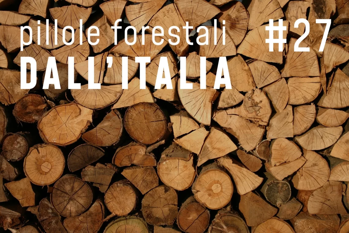 Pillole forestali dall’Italia #27 - Effetti del turnover tecnologico e altre notizie di ottobre